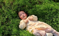 干露露全套艺术照